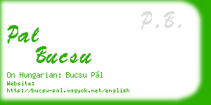 pal bucsu business card